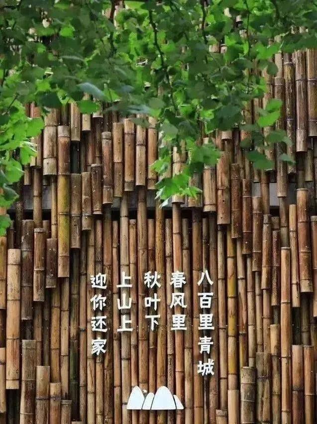 15个乡村创意景观墙，乡愁、乡韵、乡风“各显神通”