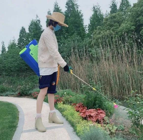 "Entire network is black " arrive " treasure girl " , besides marry pair of people, zhang Xin grants more do was opposite this thing