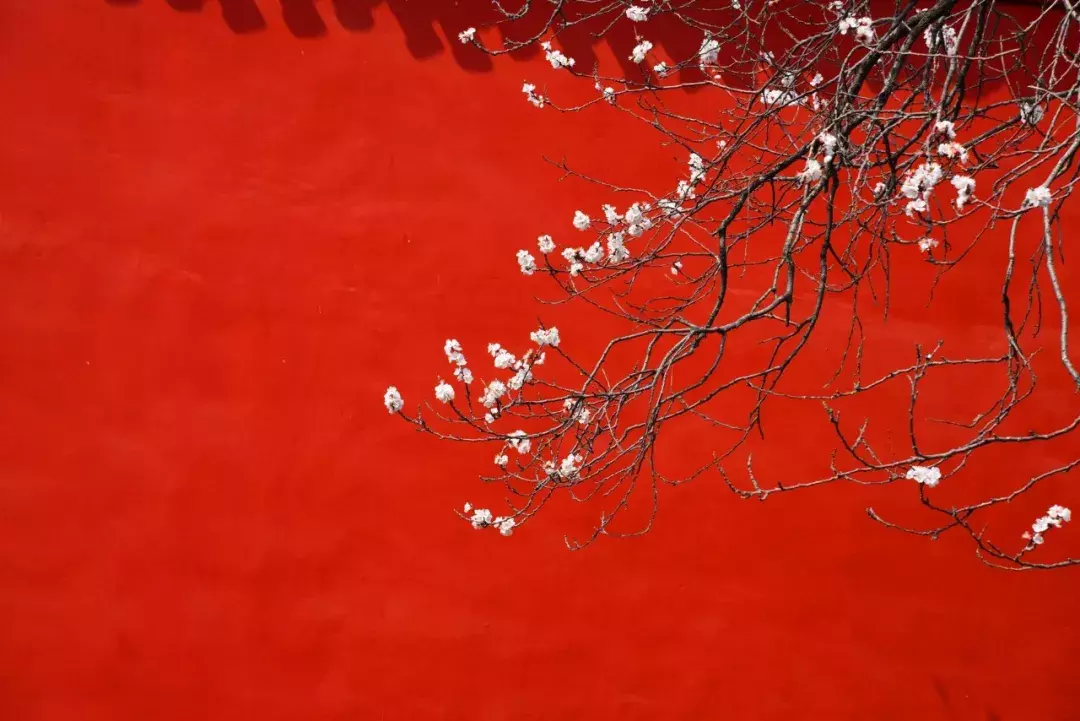 十二个传统节日,二十四首诗词:原来这些节日都藏在诗词里!-第13张图片-非凡网 十二个传统节日,二十四首诗词:原来这些节日都藏在诗词里!-第13张图片-非凡网