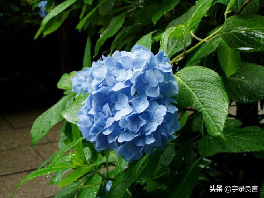 觉得很赞的句子，走心励志，值得珍藏-第1张图片-非凡网