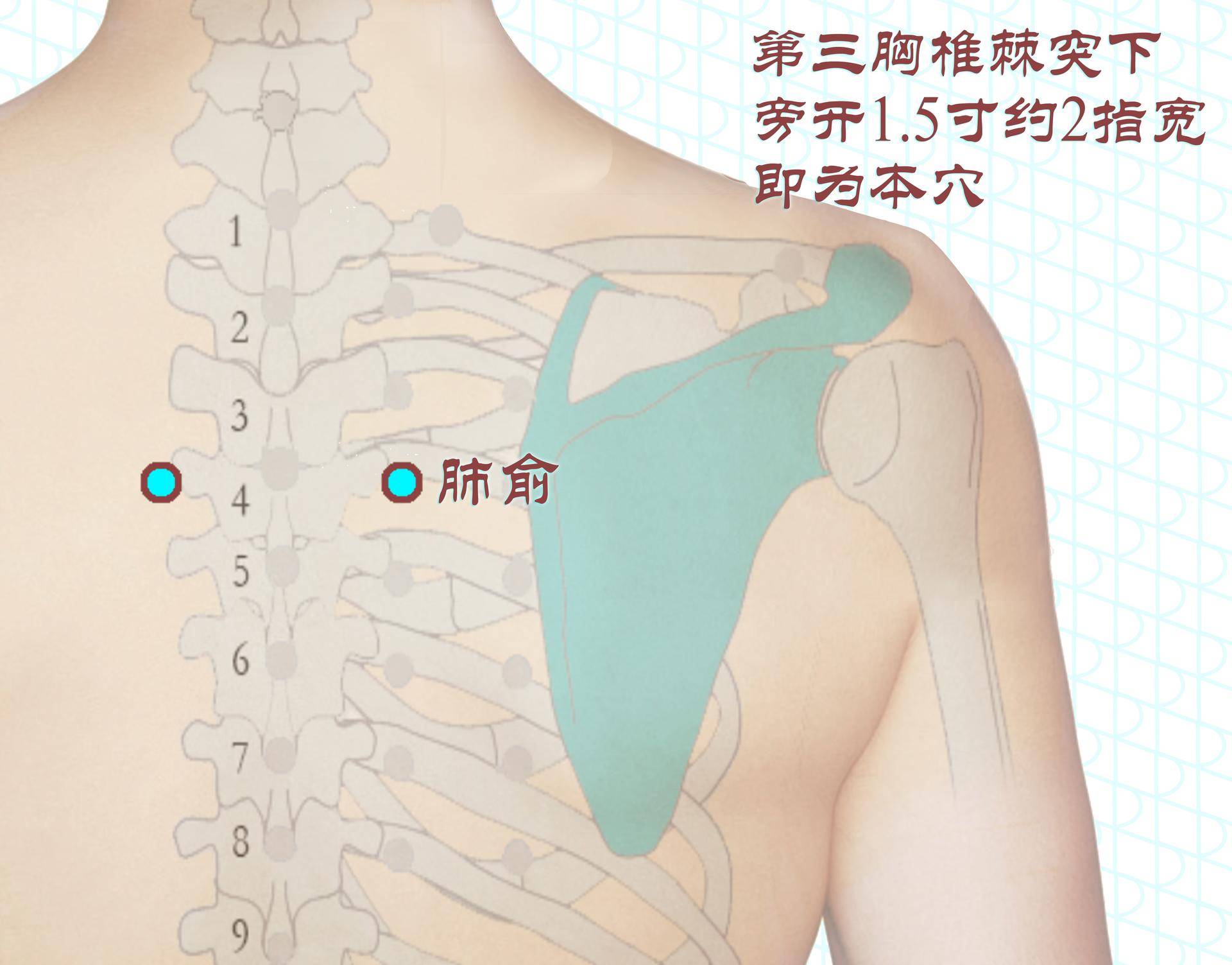 秋季无病三分虚，中秋期间，艾灸守护你的健康
