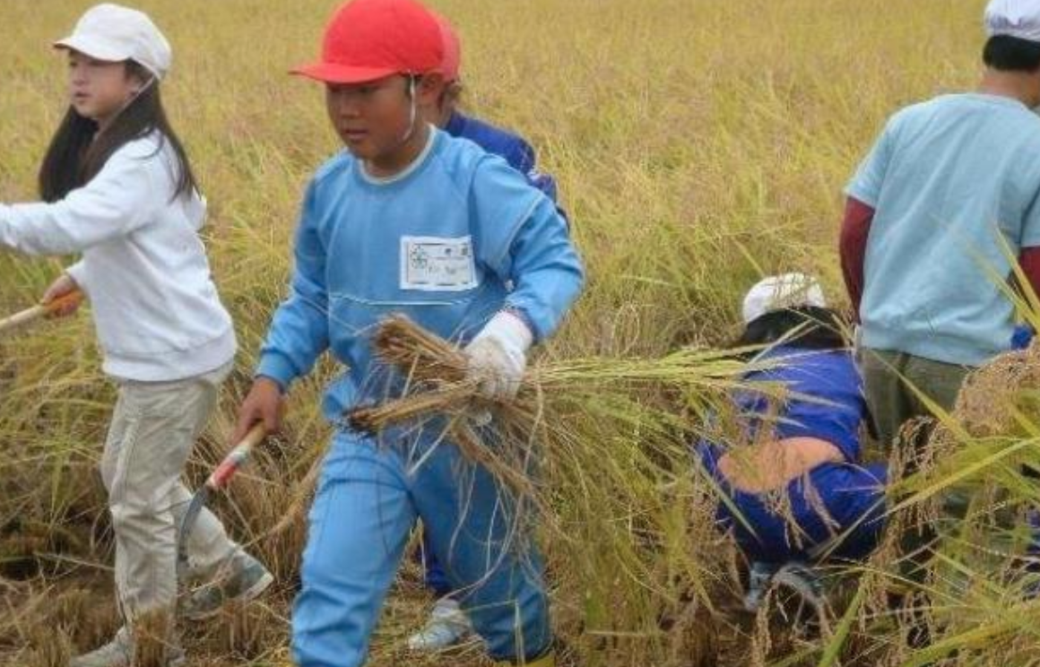 一部综艺火了30多年：“蠢”到家的创意，却是教育中最大的善意