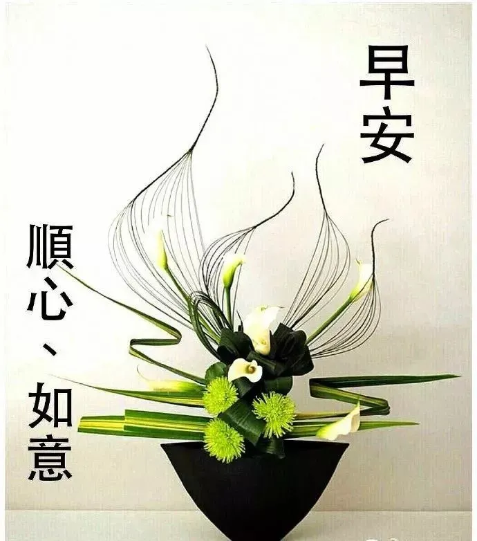 最新的早上问好祝福图片带字，最真诚的早安问候美图图片