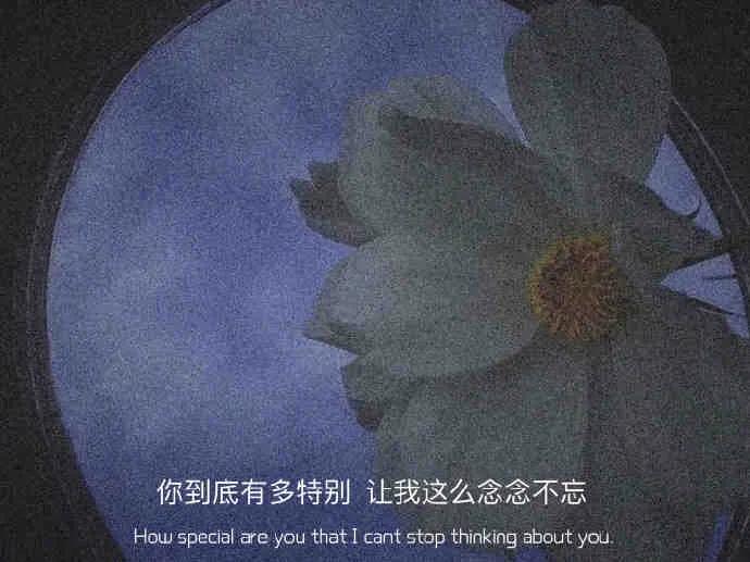 文案：得以其偏爱，倾尽平生慷慨