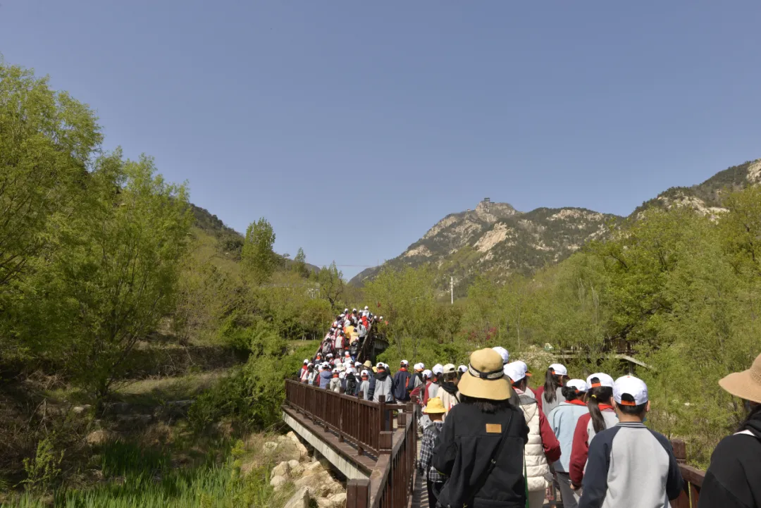 花开春盛游人醉！本周末天蒙山再迎“踏青赏花游”客流小高峰！