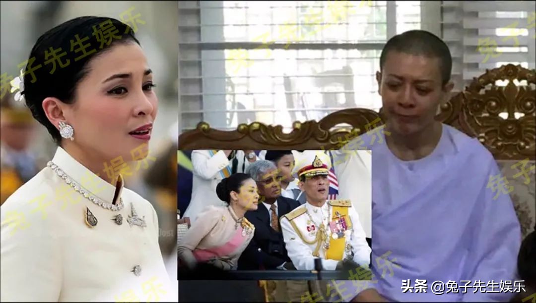 提帮功奉母之命，“装傻”6年瞒天过海，骗过苏