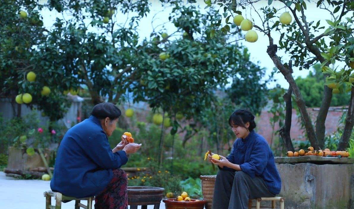 记者采访网红李子柒被怼是什么原因,李子柒是个怎样的人