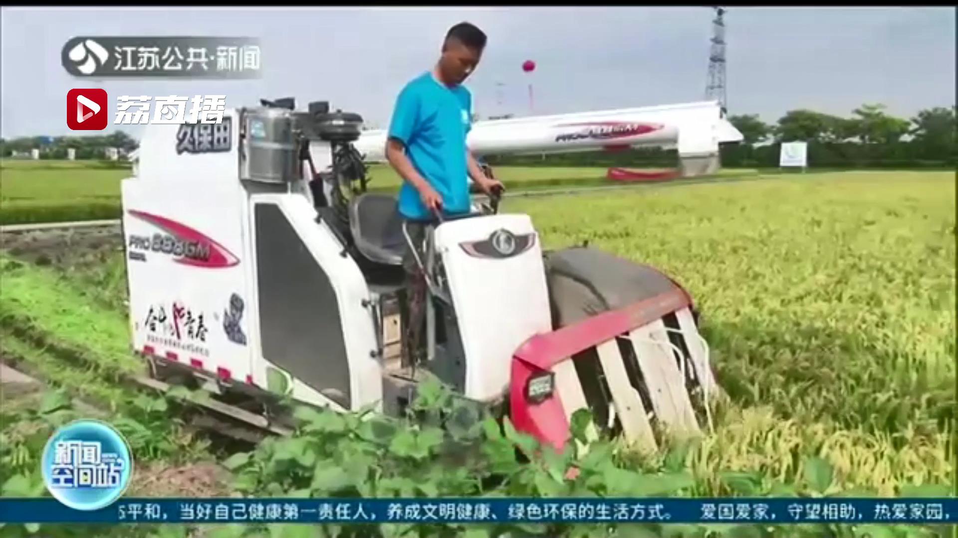 丰收在望！江苏多地早熟品种水稻开镰收割