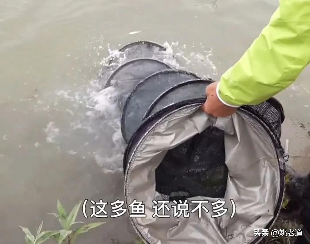 抖音头号钓鱼网红易主:邓刚超越刘志强粉丝量