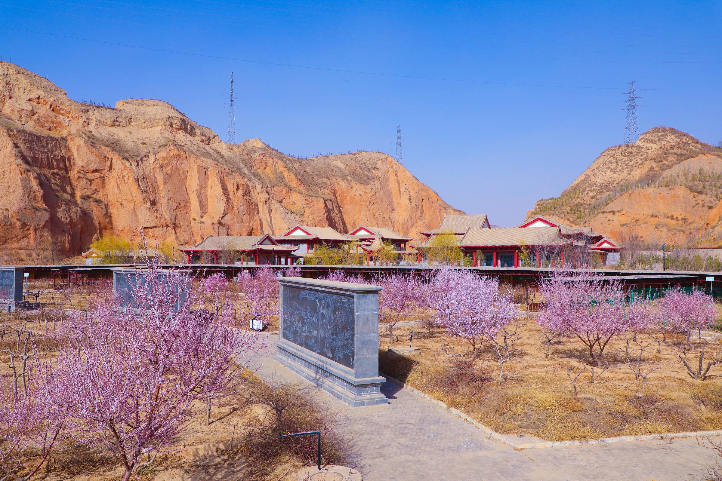 兰州安宁春风暖桃花开待客来