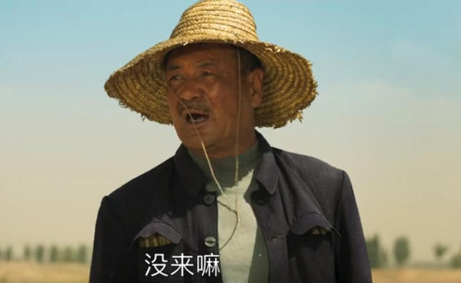 《山海情》细节绝了，演员换人观众浑不知，郭京飞起床发型太真实