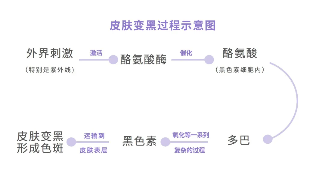 皮肤黑，想美白？美白总是不成功？一次性告诉你变白的全部方法