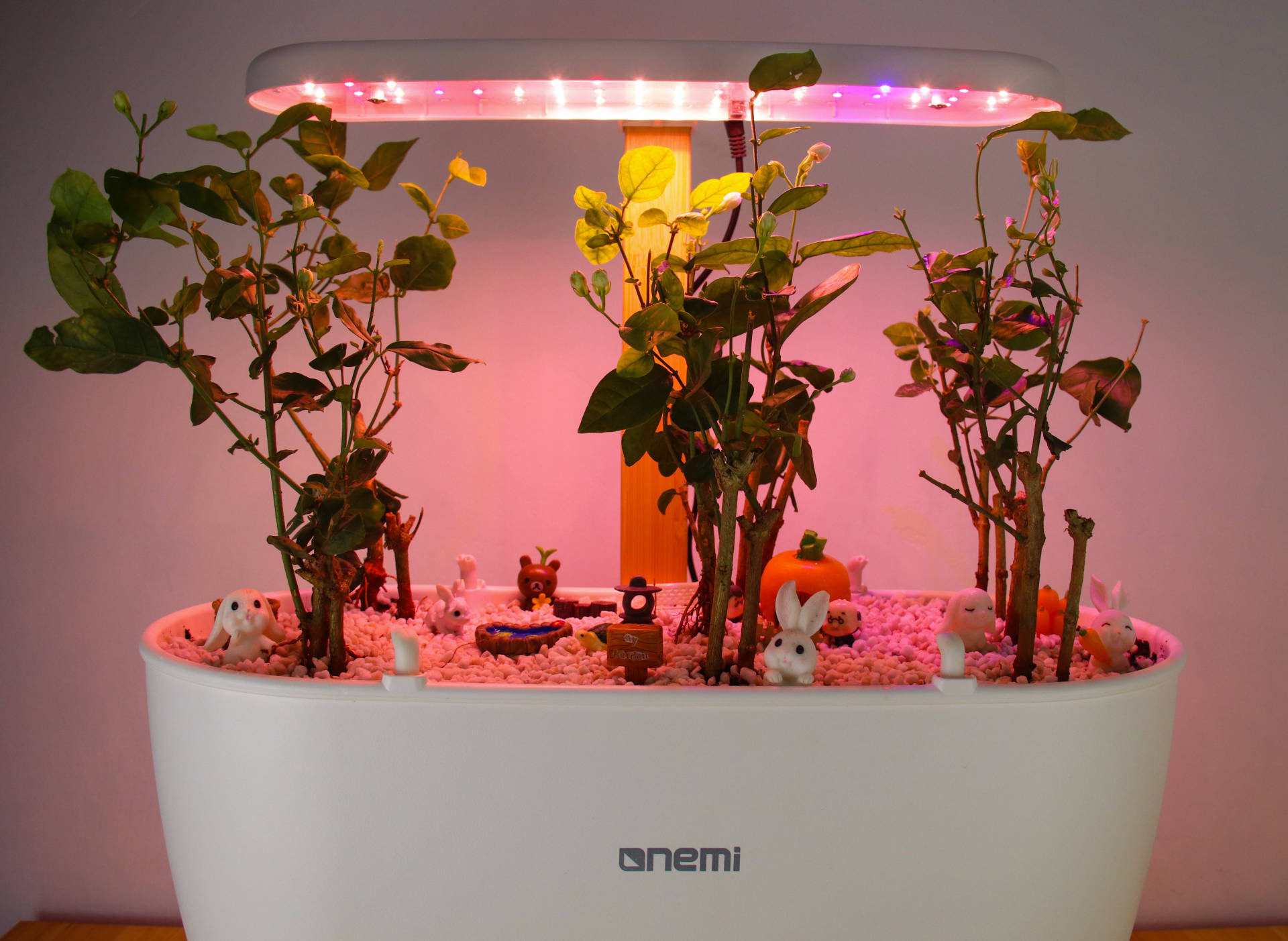 种植可以很简单，一米田智能种植伴侣，从今天起做个幸福的人