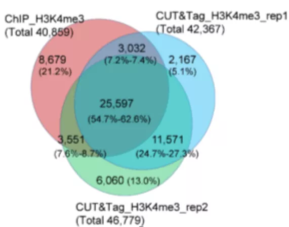 CUT&Tag技术用于棉花染色质H3Kme3修饰研究