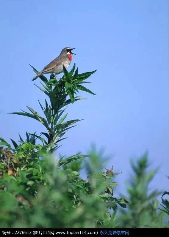 创作是要创作的！不创作是没全图