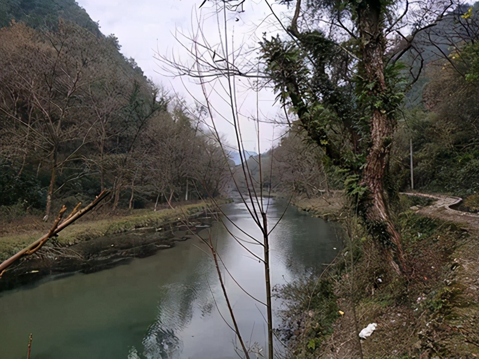 新宁县水庙镇开展专项行动全力护航河道生态
