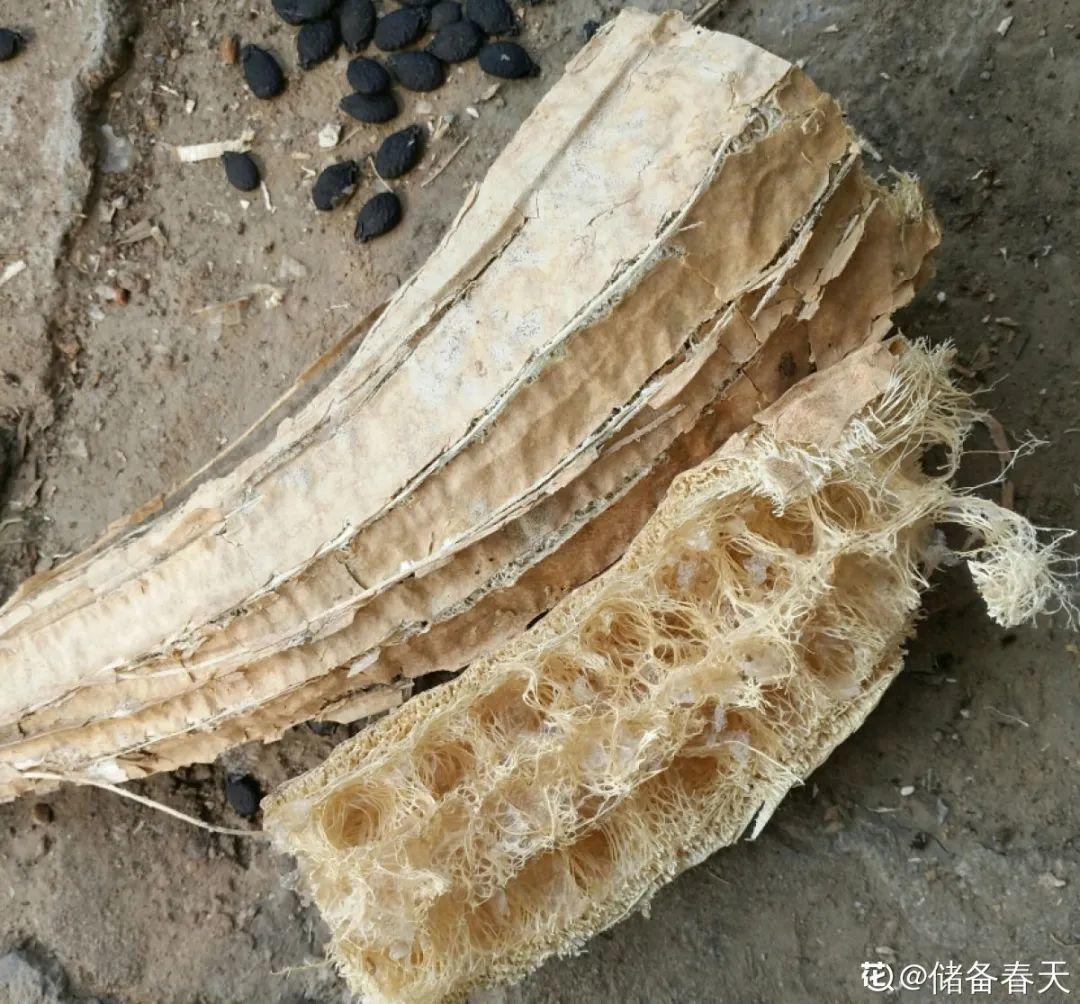 10个偏方，能省不少钱，把花养的又肥又壮-第1张图片-农百科