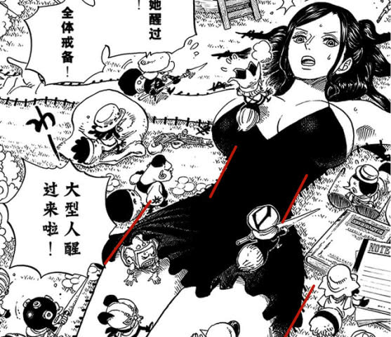 海贼王 娜美、罗宾和汉库克被捆绑，第一个先救