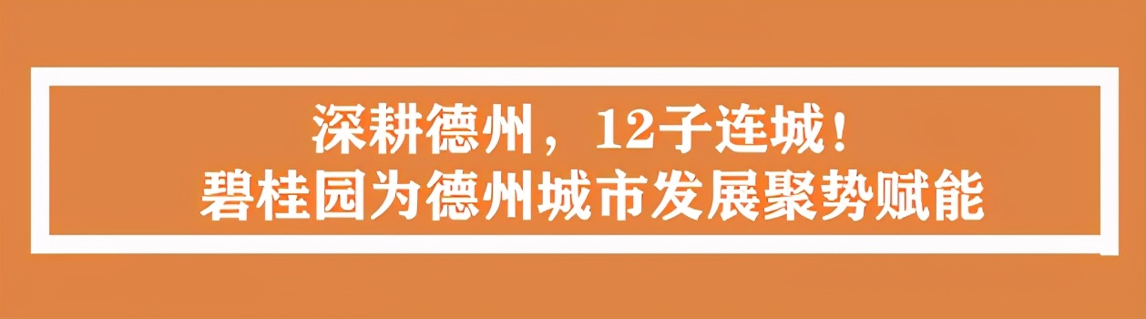 砥砺10年，为爱筑家碧桂园用实际行动焕新城市人居理想