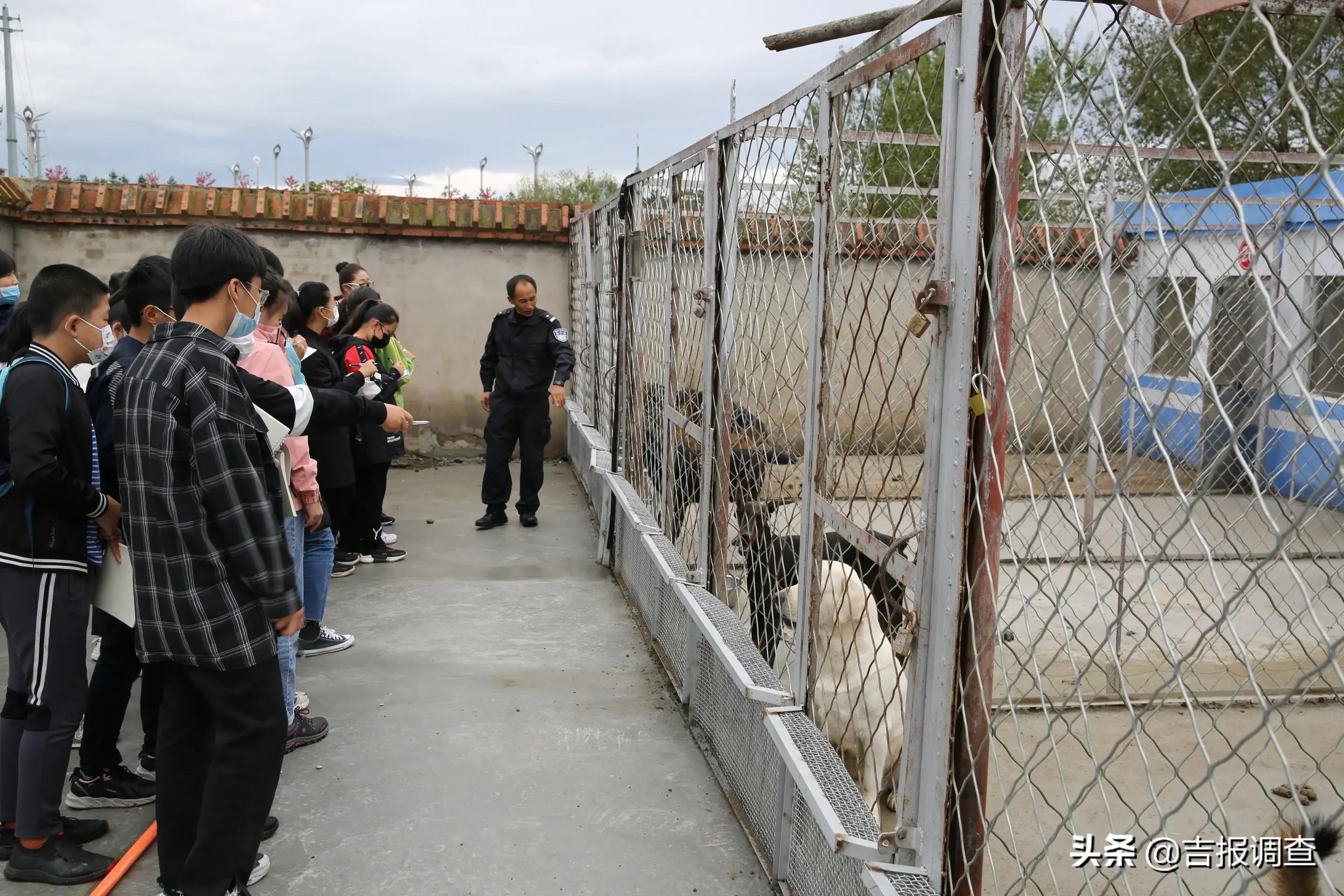 琿春市第五中學(xué)七年一班師生在馬川子(圖2)