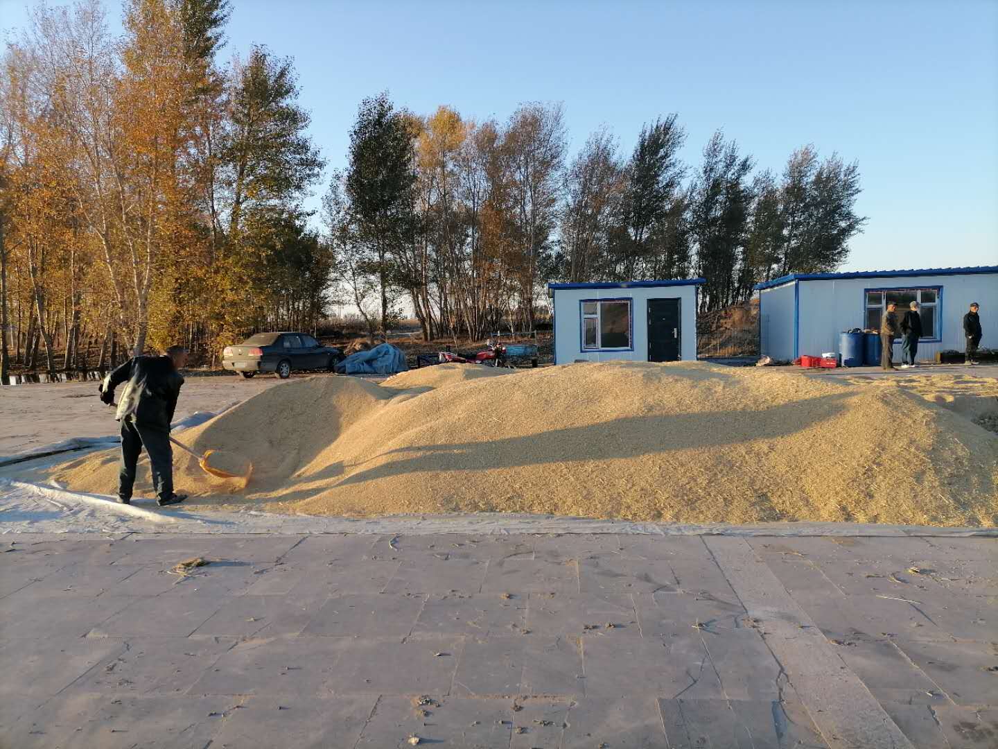 大岗子法庭：保全41万斤水稻，避免集体利益受损