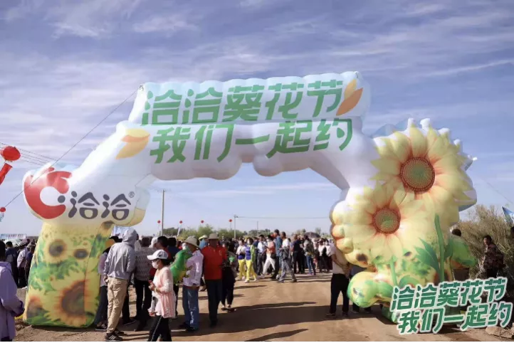 从洽洽食品的双曲线战略看，2020年下半场的渠道变革