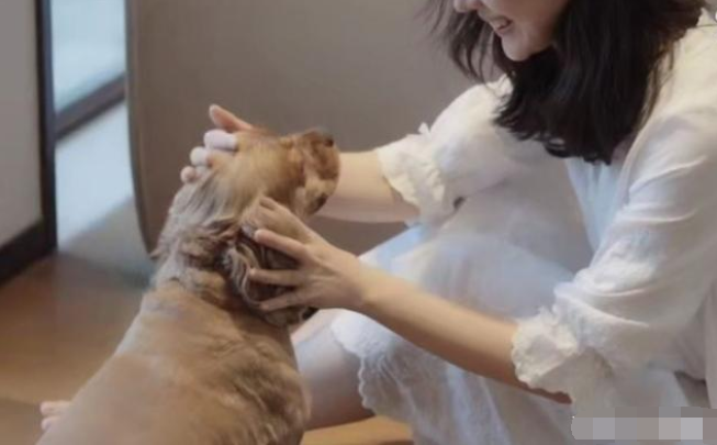 董花花发视频晒花，借花语暗示和蒋凡重归于好