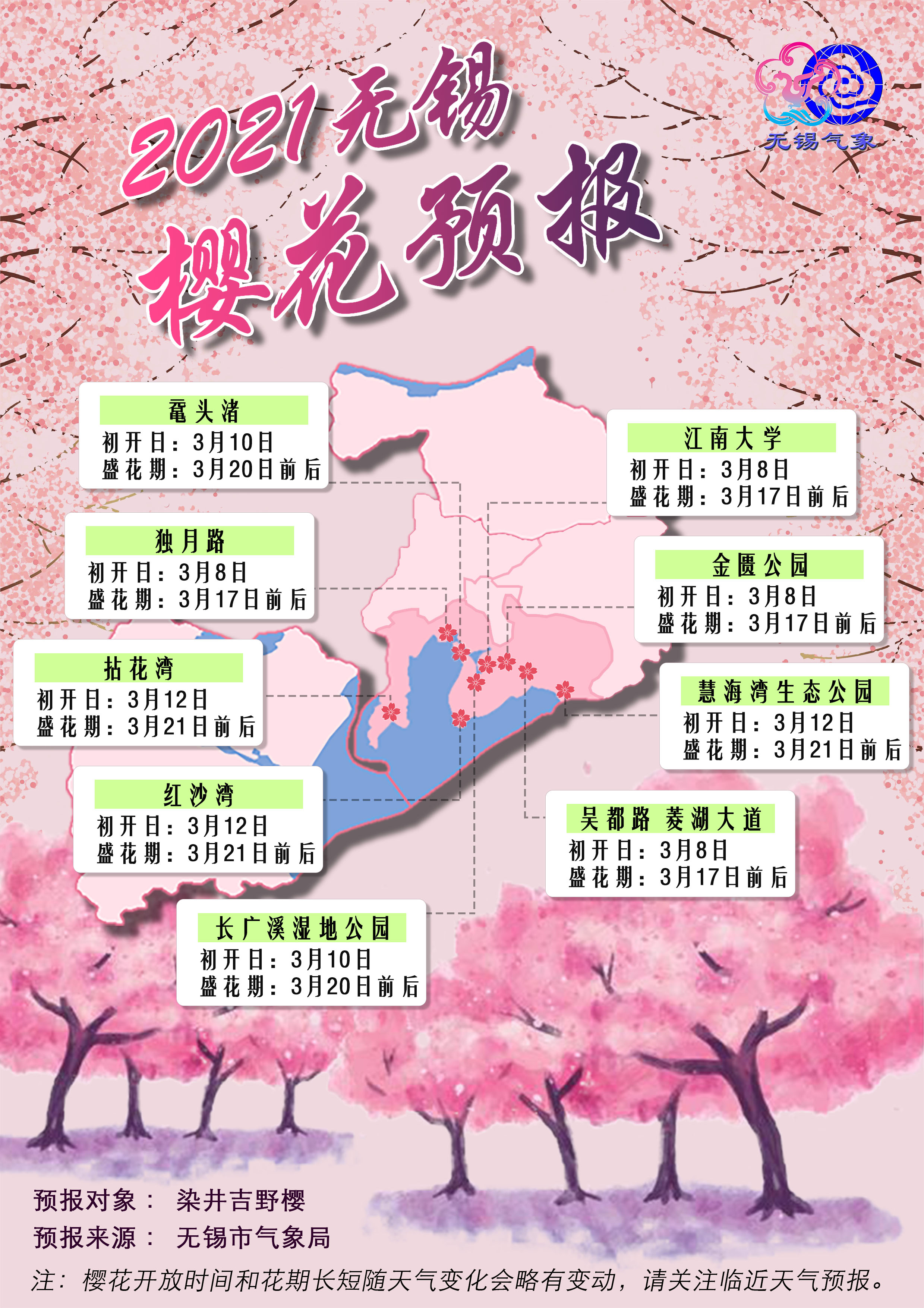 21年無錫櫻花預報出爐3月10日左右將提早綻放 江蘇氣象 Mdeditor