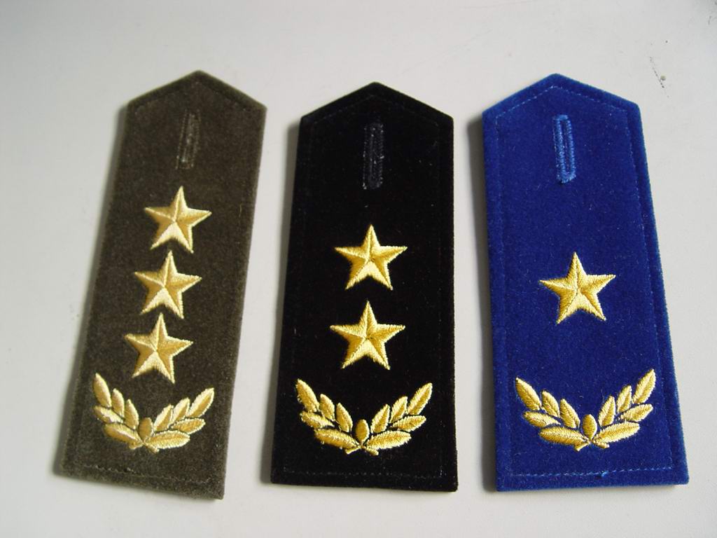 我军种最神秘的士官，将军见了还要主动敬礼，