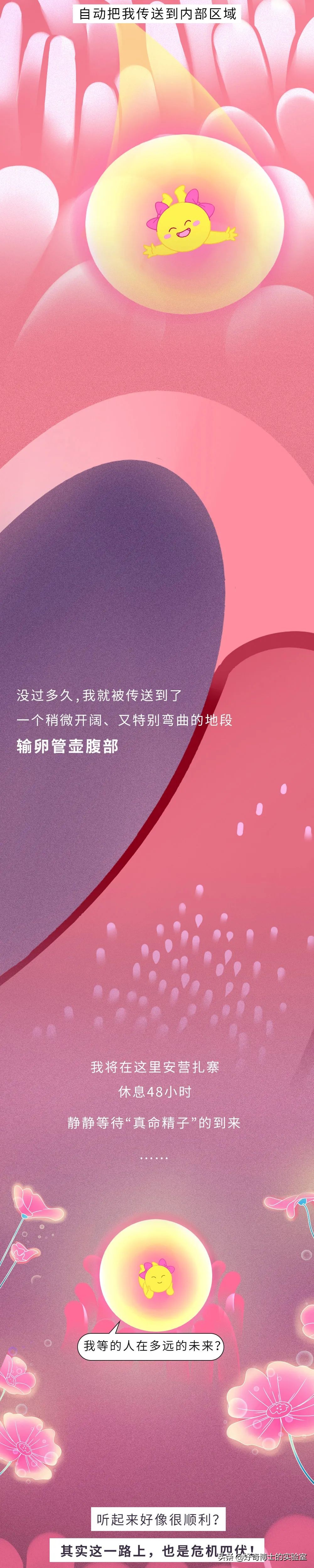 你對女生的卵子根本一無所知