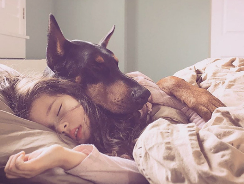 原来“和狗睡”的好处这么多，怪不得大家都喜欢养狗