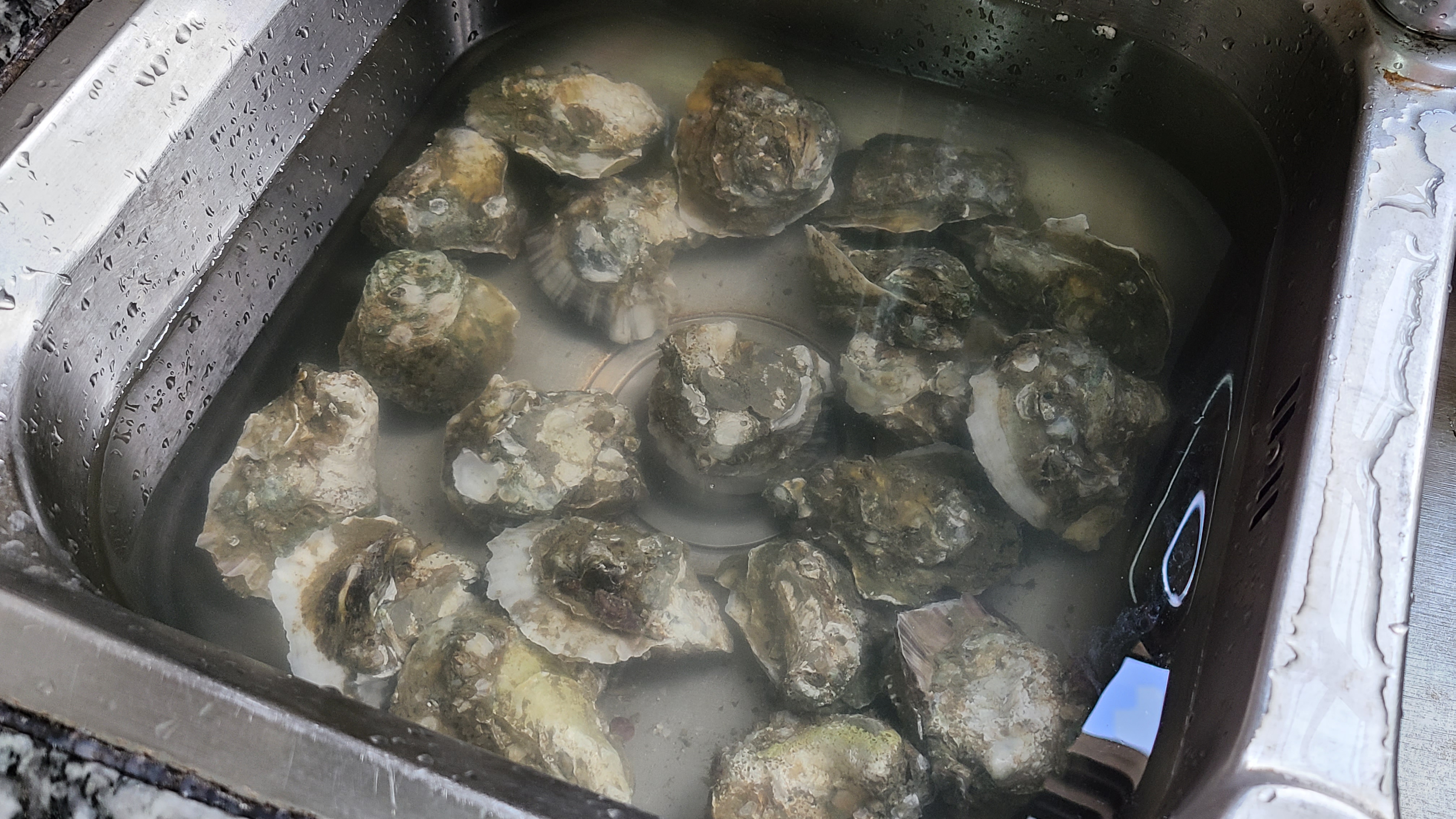 廣式炒生蠔原來這麼好吃，家常做法味道鮮美，看著就饞了