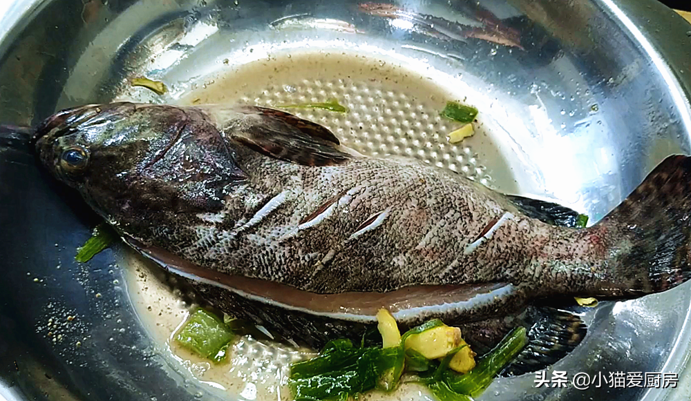 图片[6]-清蒸石斑鱼 只要掌握好3个技巧 做出来鲜嫩多汁好吃 没有腥味-起舞食谱网