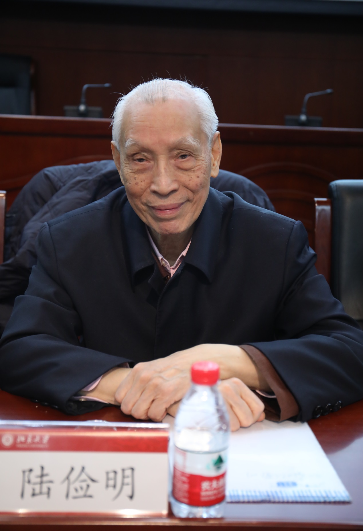 如何在"王力精神"的指引下,"继往开来,发展中国语言学",与会专家学者