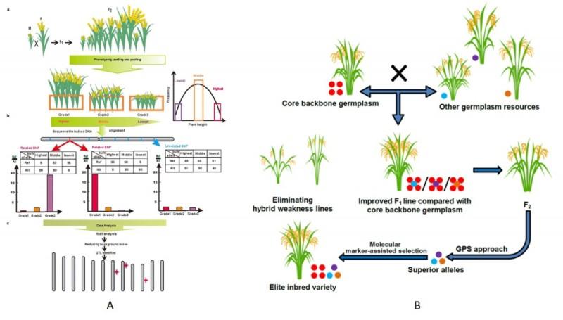 亂點鴛鴦譜，人類製造跨物種雜交動物，是否違背自然規律？