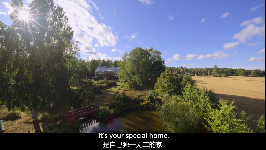 瑞典夫妻花12年为自闭症儿子建了座玻璃城堡：所