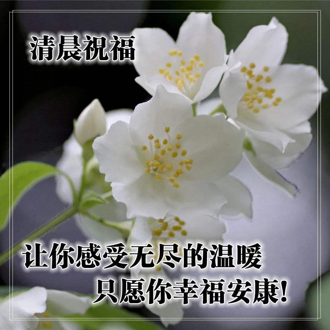 早上好的问候美句有哪些早上问候语大全