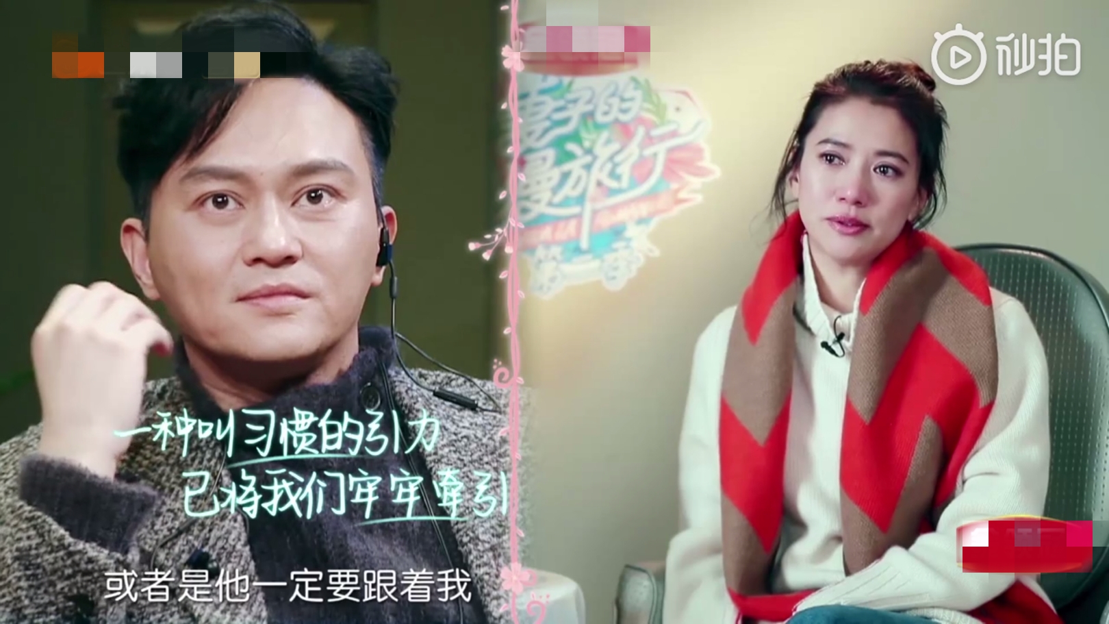 张智霖被獒犬送袁咏仪人偶，调侃很恐怖，靓靓追老公综艺犯花痴