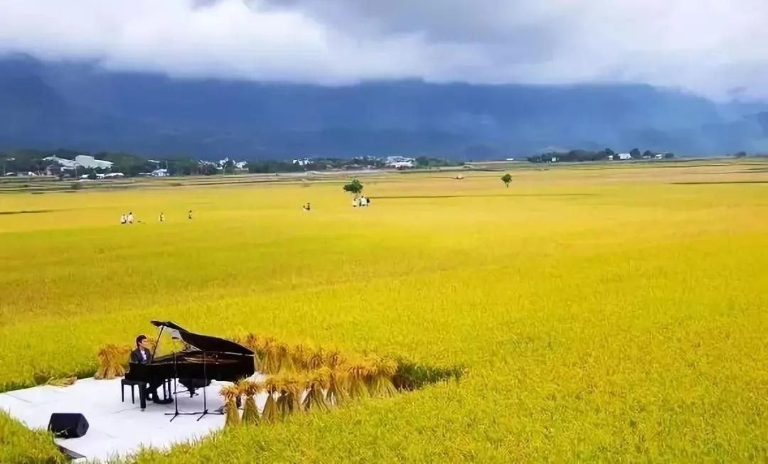 金城武、蔡康永、蒋勋、林怀民扎堆光顾的一个文艺乡村——池上乡