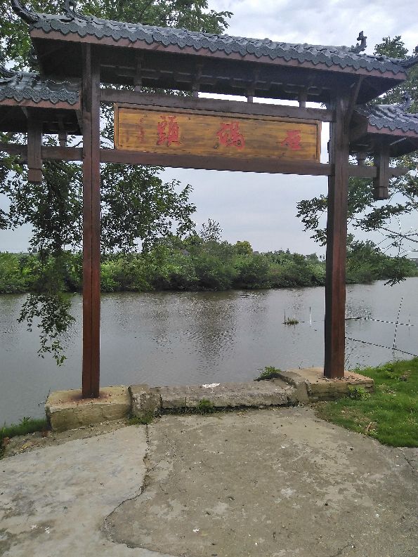 毛市镇石码村：力拓荒原建基地 红色薪火永相传