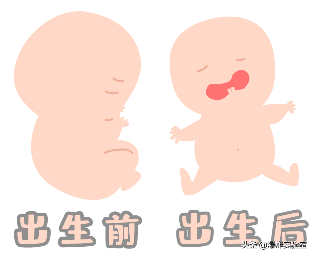 為什麼嬰兒出生時都是哇哇大哭而不是哈哈大笑？