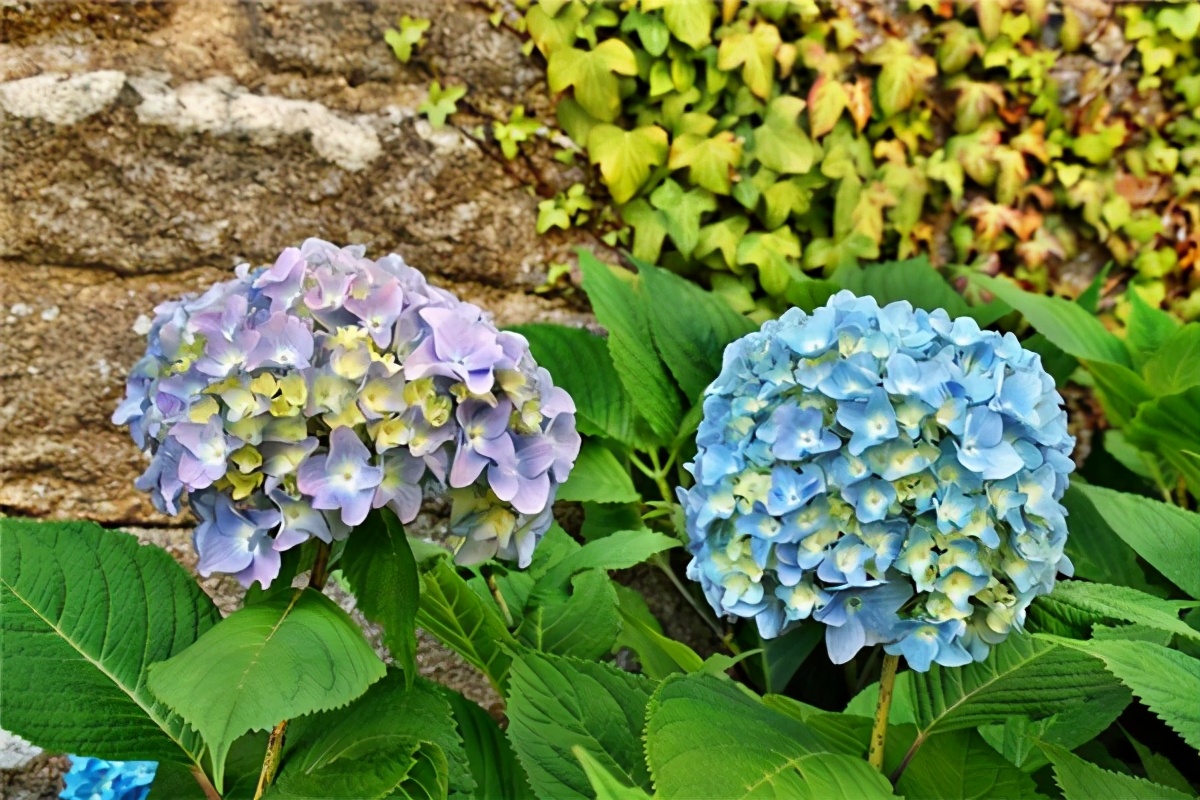 十二星座21年4月26日 今日愛情財運 事業分析 北城雲旗 Mdeditor