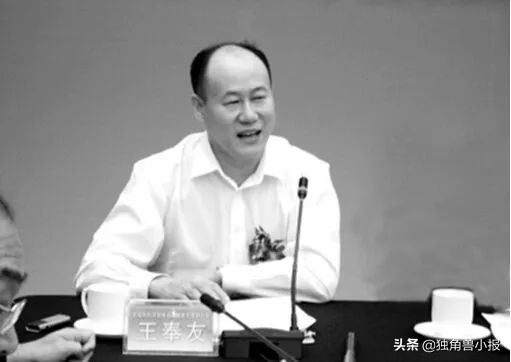 抚顺王奉友的“蚁力神”不归路