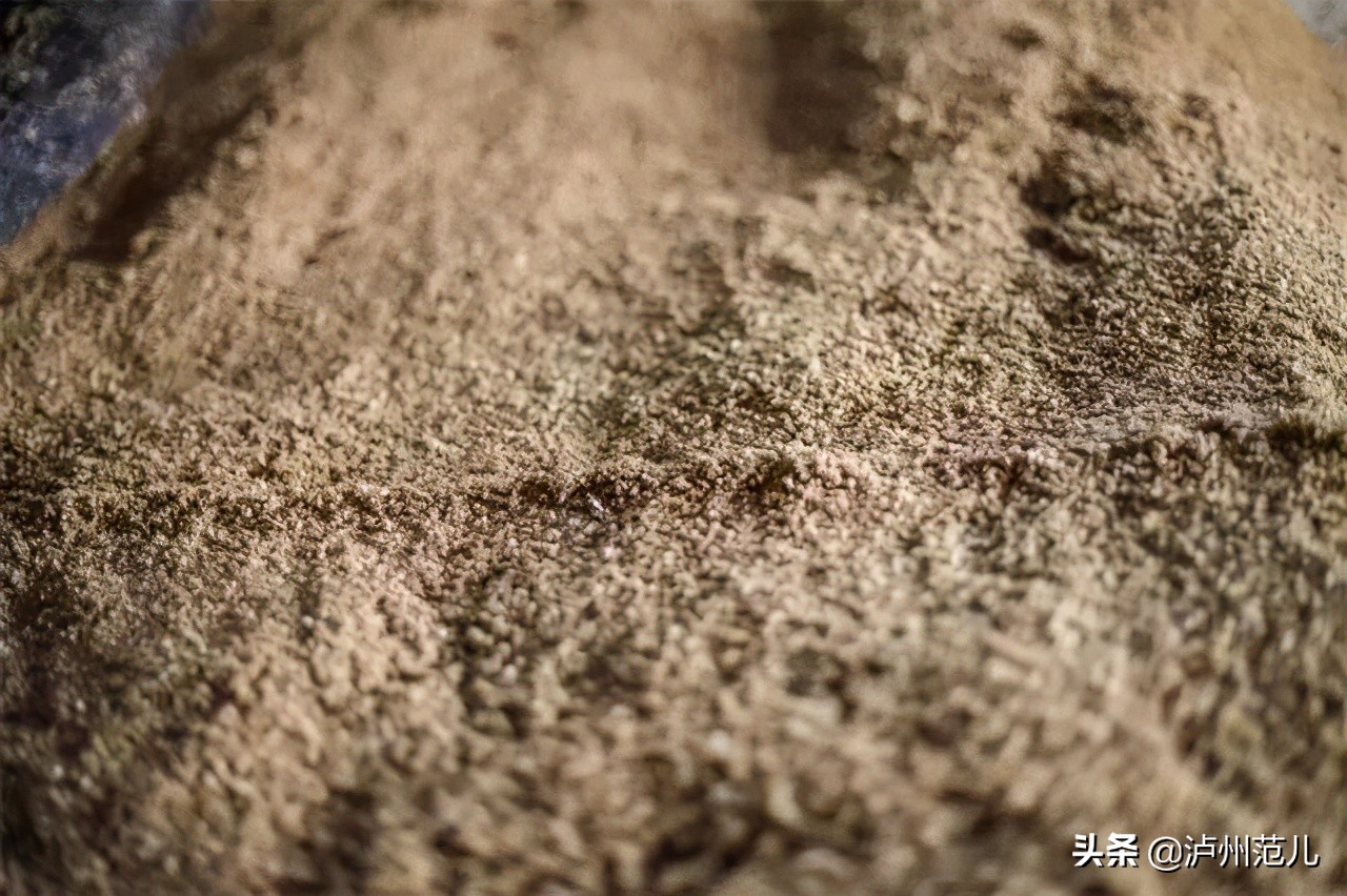 泸州这些菜品上榜省级美食候选名单 你吃过几道？