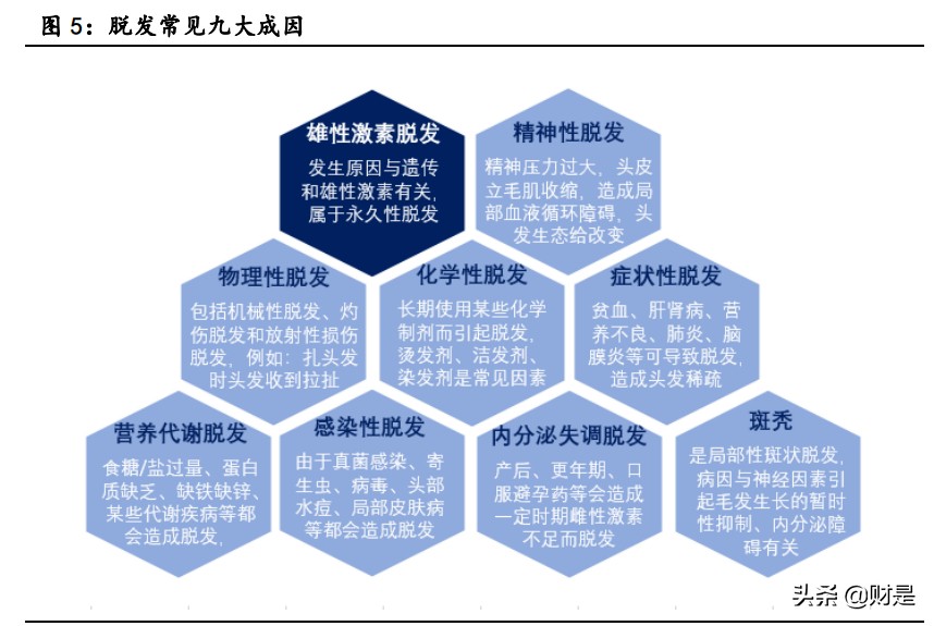 植发行业深度报告：颜值新赛道，植发大潜力