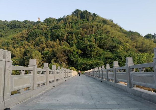 临安城南功臣塔，千年不倒；叹吴越旧事，尽在小城春光里