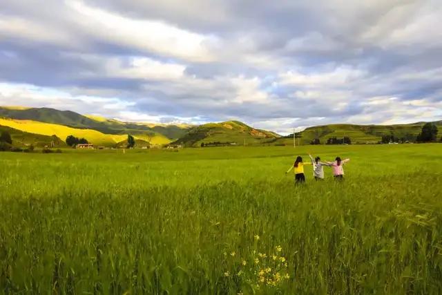 自媒体作者如何写出优质的文章？