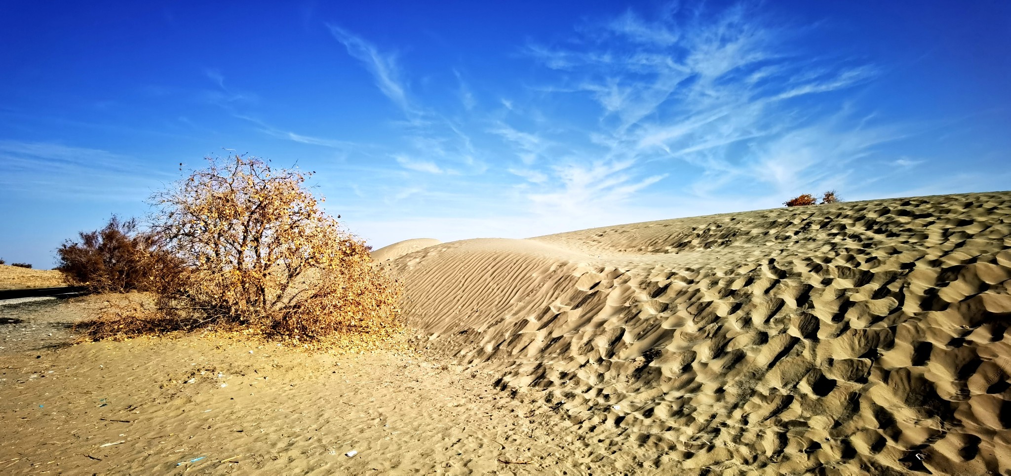 新疆气候越来越湿润？河流水量增大，沙漠频频下雨