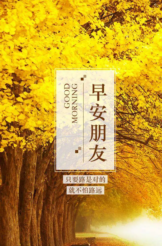 早安心语，正能量走心语录句子很好看的早上好图片图片