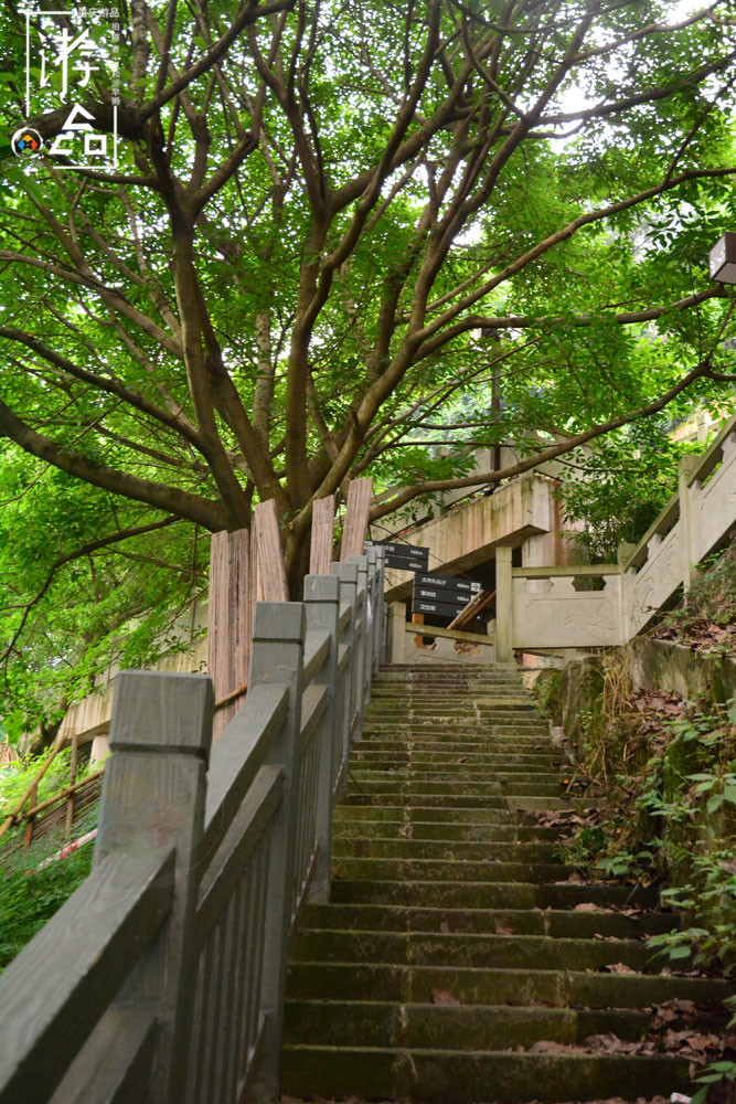 在重庆佛图关寻找“巴山夜雨”，爬完数不尽的台阶，结果令人失望